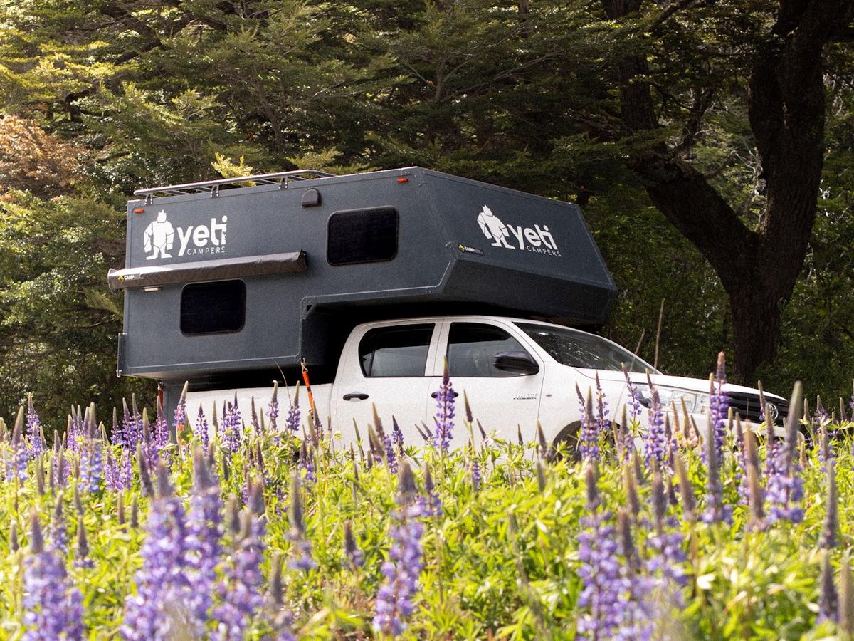 The Nomad Camper among lupins at the edge of a Patagonian forest