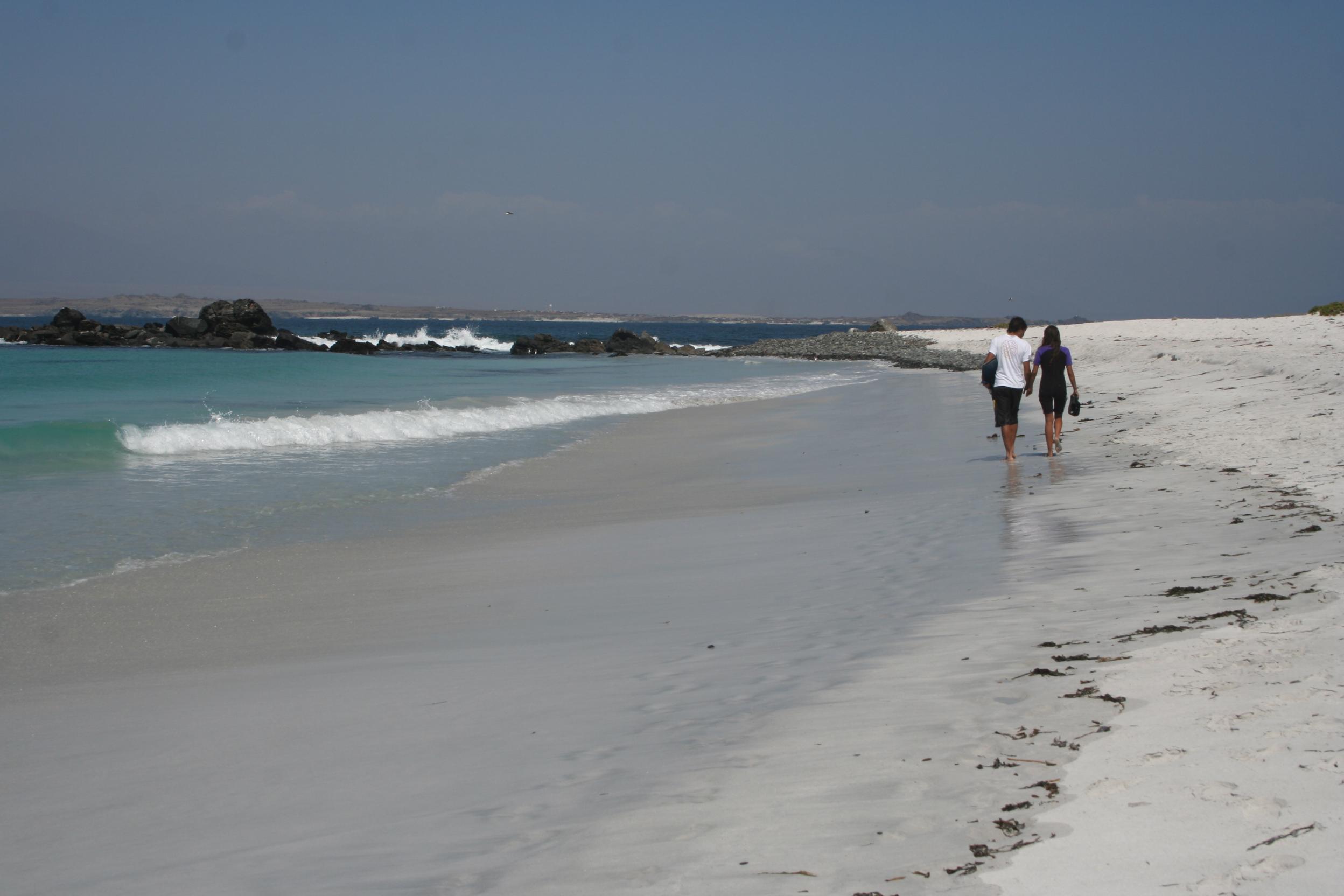 Punta de Choros cove
